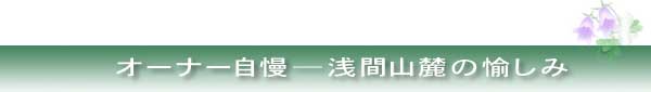 オーナー自慢　タイトル
