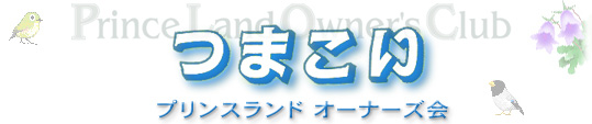 �^�C�g��