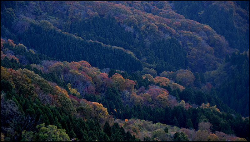 淺岡敬史