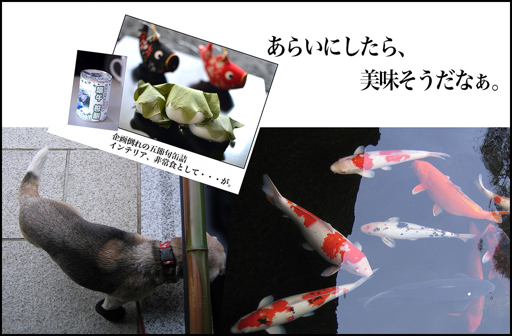 淺岡敬史